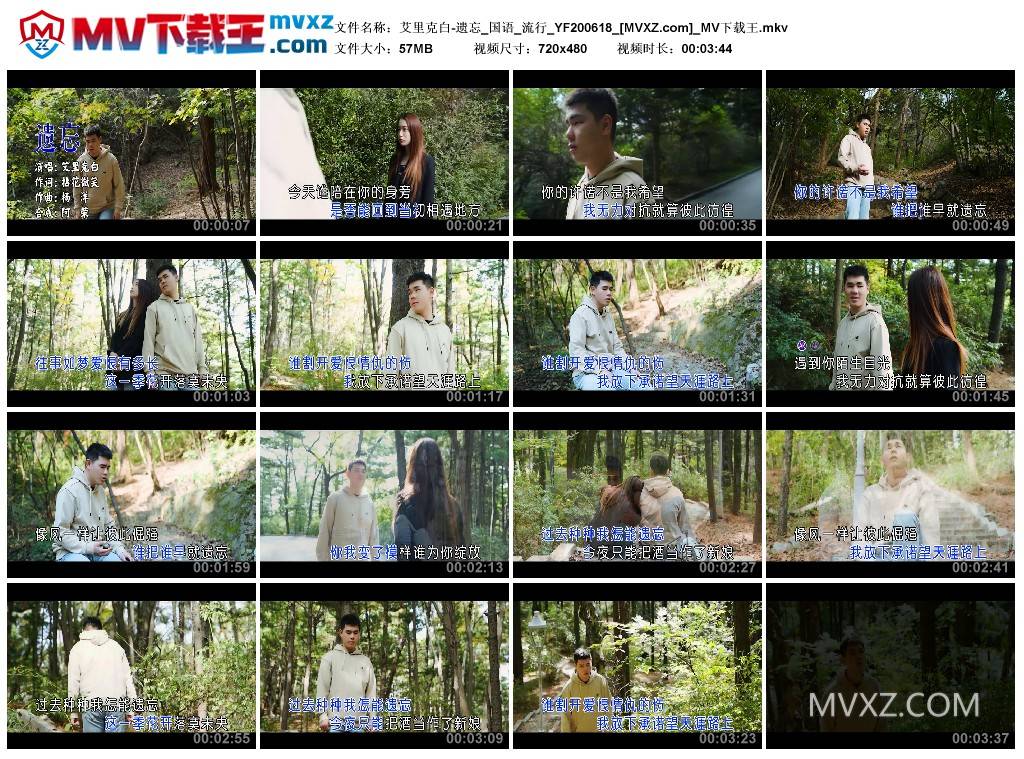 艾里克白-遗忘_国语_流行_YF200618
